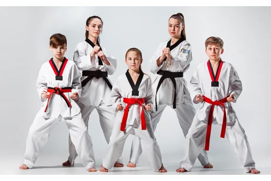 تفاوت تکواندو و کاراته