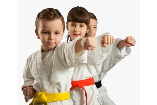 فرق کاراته کنترلی و غیرکنترلی