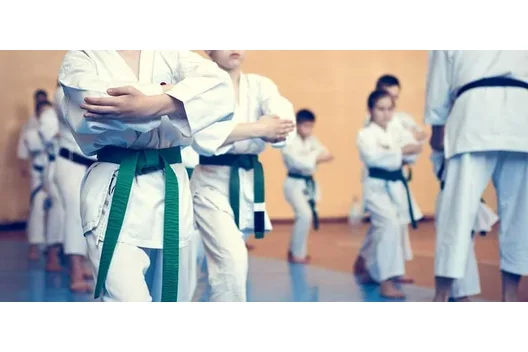 سبک های کاراته